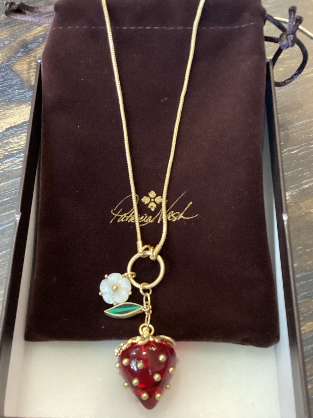 Patricia Nash Strawberry Long Pendant Necklace